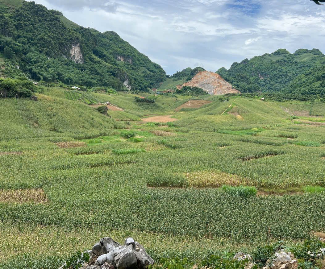 Cải thiện cơ sở hạ tầng đô thị ứng phó với biến đổi khí hậu tại thành phố Sơn La CTV chuyên gia