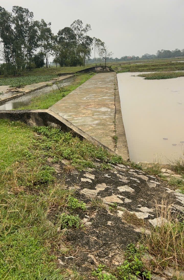 Hệ thống tiêu thoát lũ, chống ngập úng