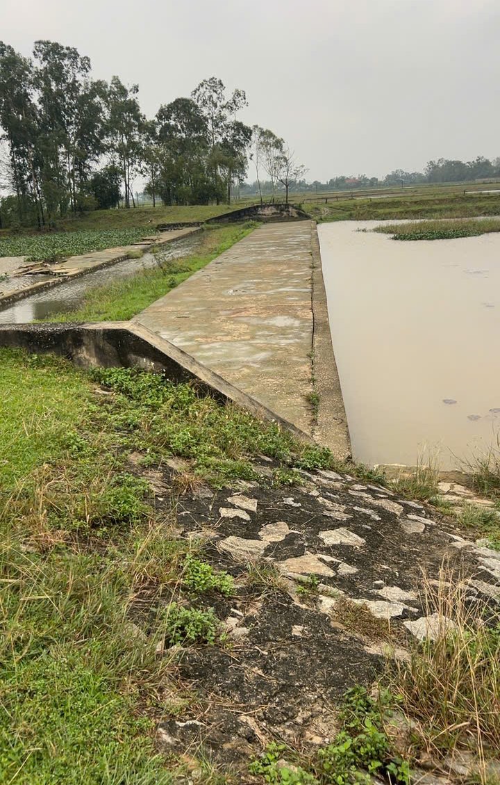 Tư Vấn khảo sát địa hình